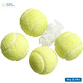 Candinavia Tennis Balls Bubble Gum — 1kg (2.2lb)
