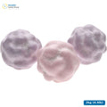Zed Candy Brain Sucker Molekyler — 2kg (4.4lb)
