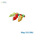 Asba Trolli Happy Mouse - 6kg (13.2lb)