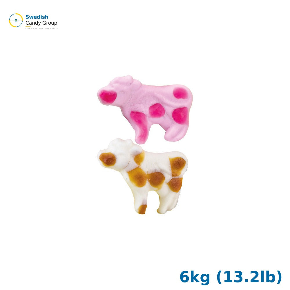 Asba Trolli FoamKO — 6kg (13.2lb)