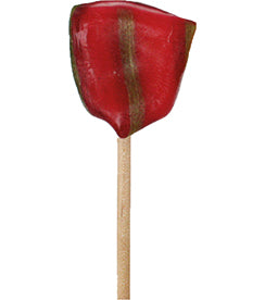 Bako Clip Lollipop Wild Strawberry 60 pcs