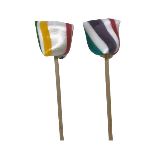Bako Clip Lollipop Rainbow 60 pcs