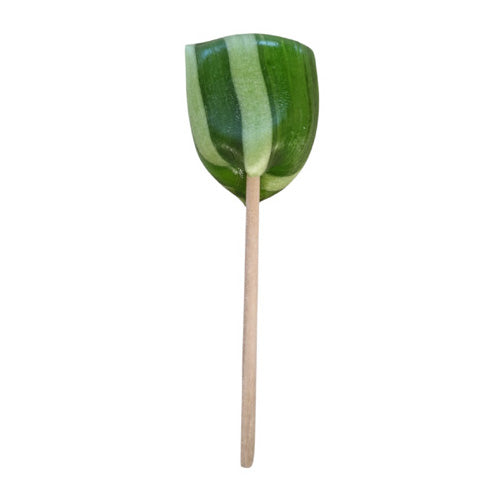 Bako Clip Lollipop Apple 60 pcs