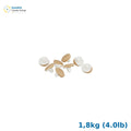 Dals Konfektyr ToffeeSVAMP — 1,8kg (4.0lb)